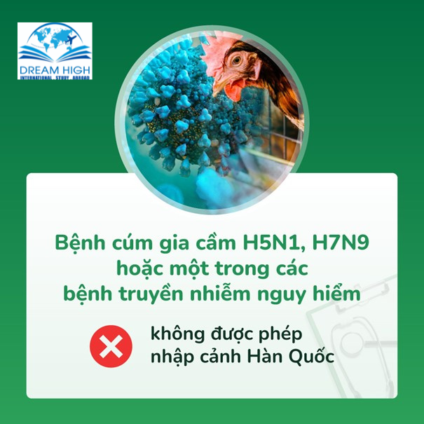 bệnh cúm gia cầm khi đi khám sức khỏe